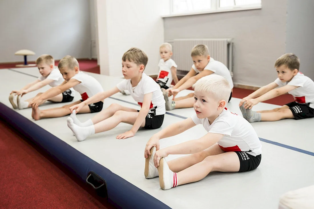 Школа спортивной гимнастики Андрея Гребенникова