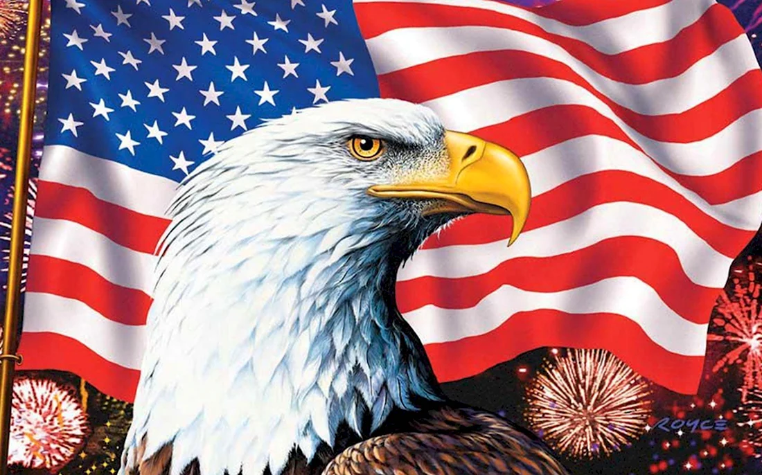 Символ Америки белоголовый Орлан