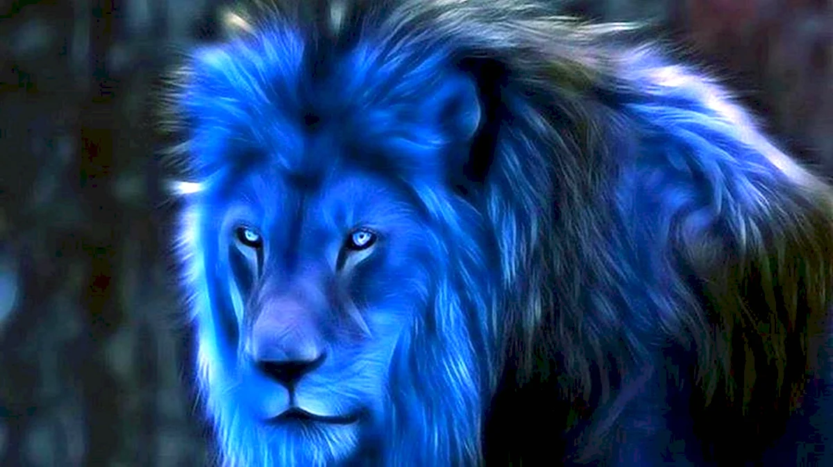 Синий Лев
