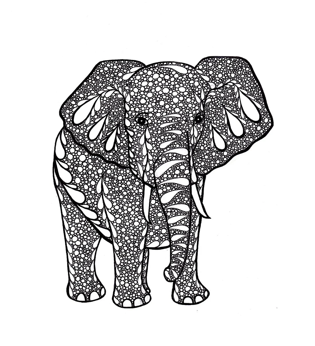 Слон в стиле Зентангл