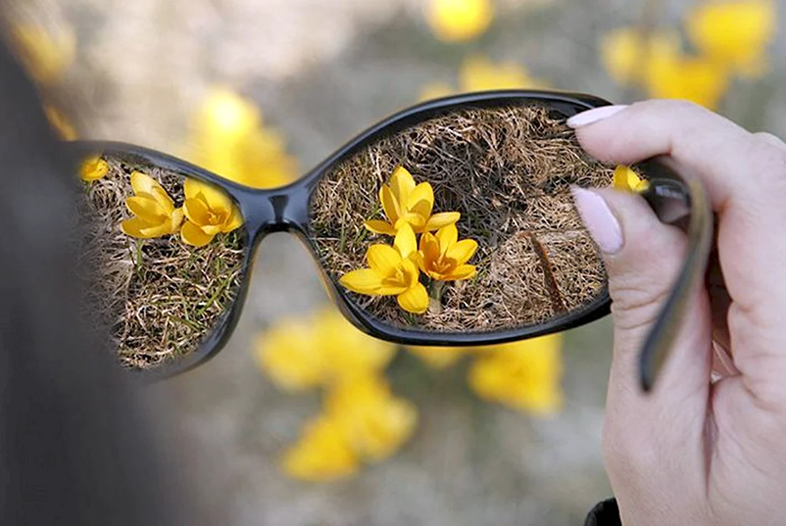 Солнечные очки с цветком