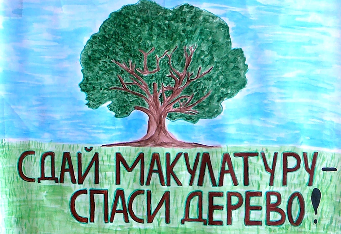 Спасем деревья сбор макулатуры