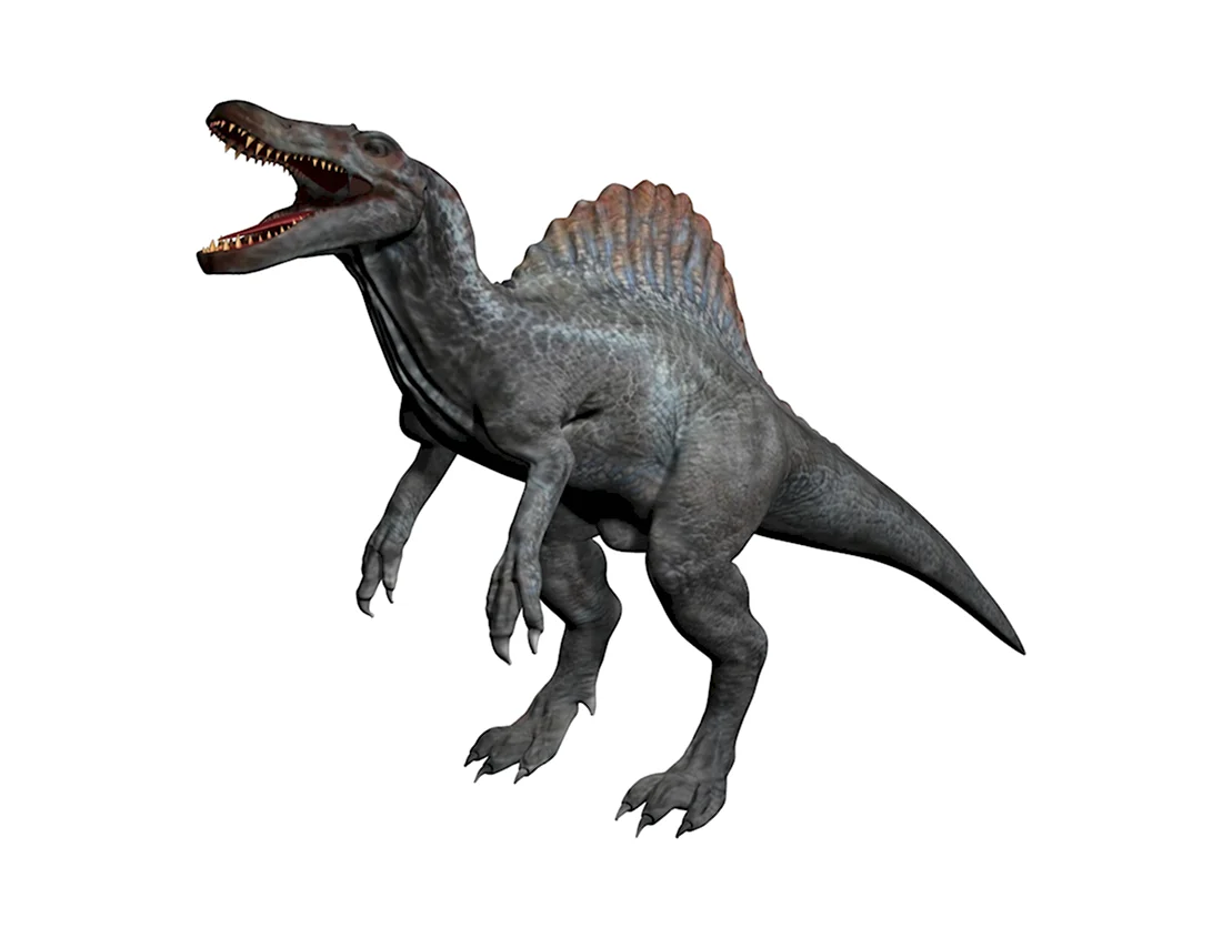 Спинозавр Тираннозавр Велоцираптор