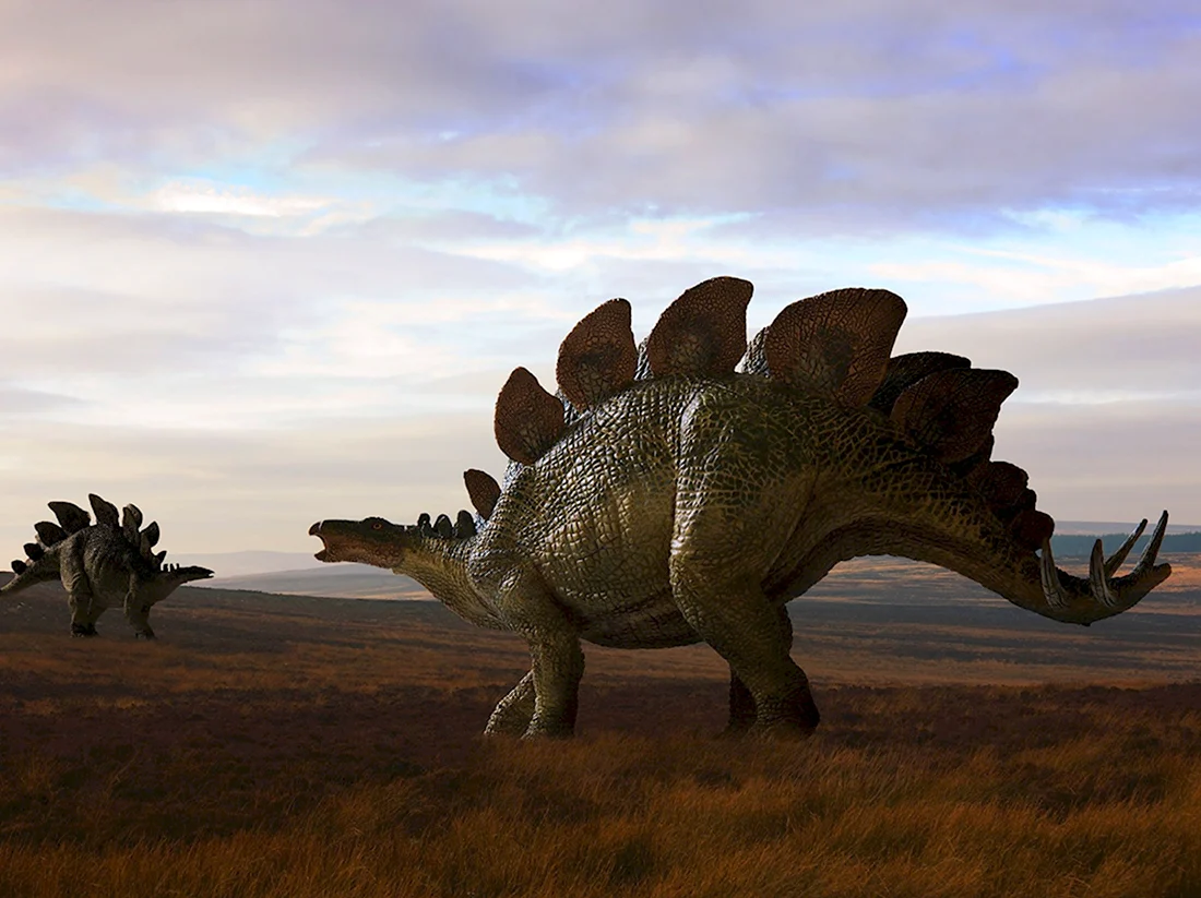 Стегозавр арматус