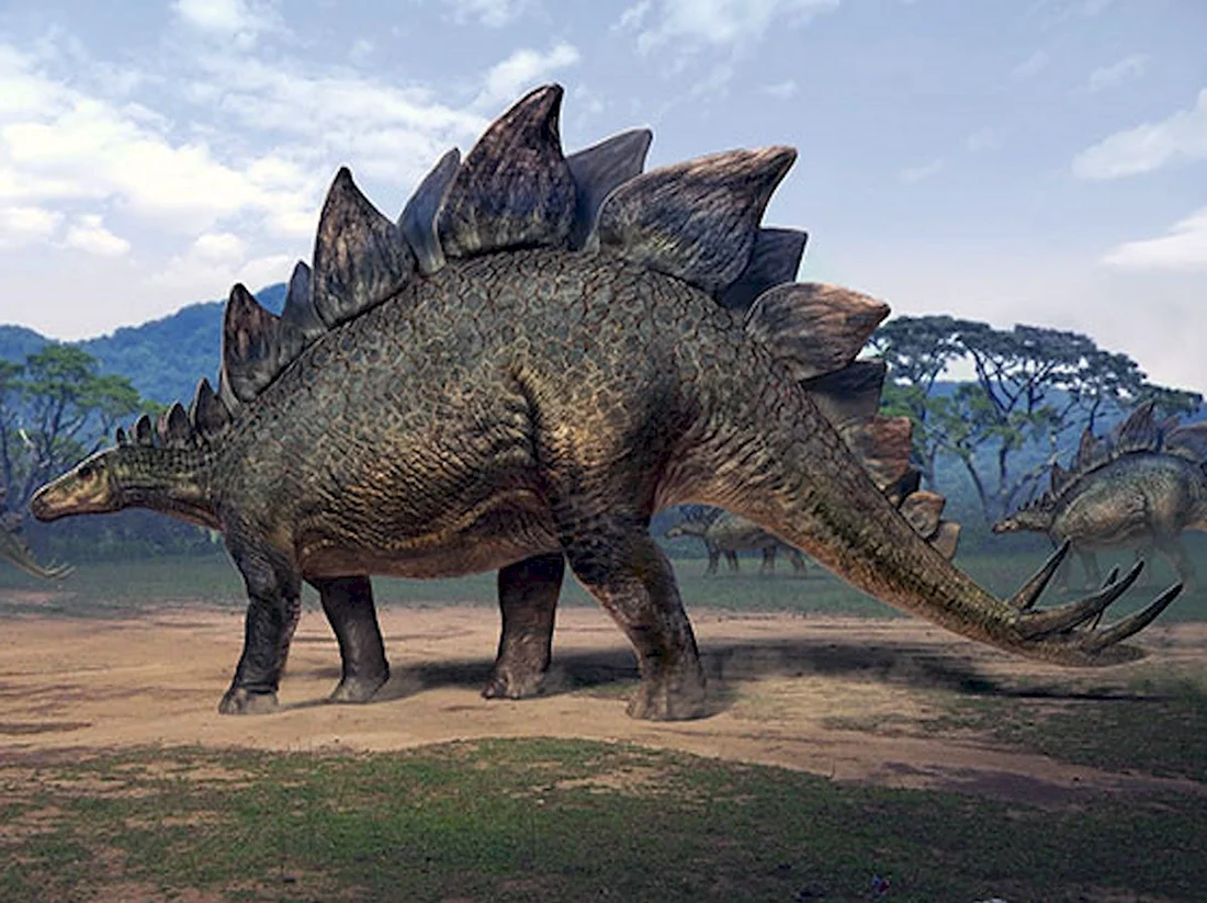 Стегозавр динозавры Юрского периода