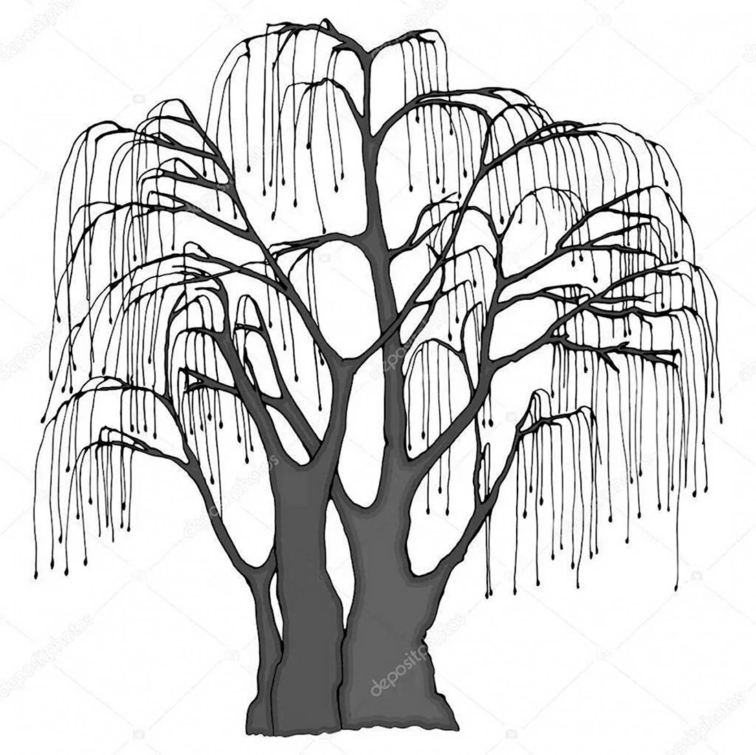 Стилизация деревьев Ива