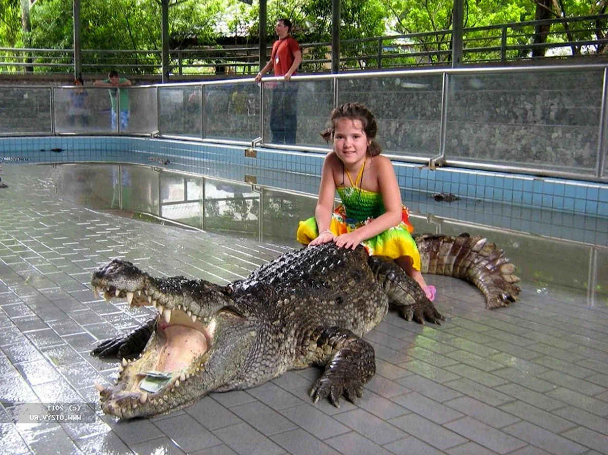 Тайланд крокодилы в море