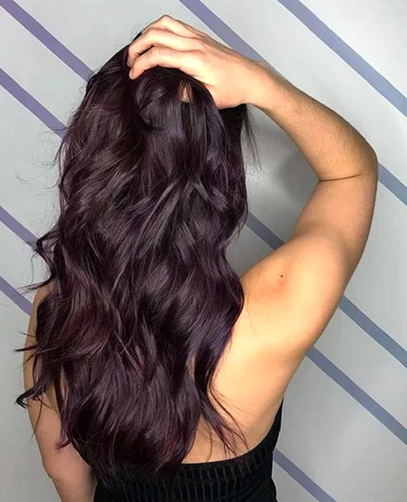 Темный цвет волос с фиолетовым отливом