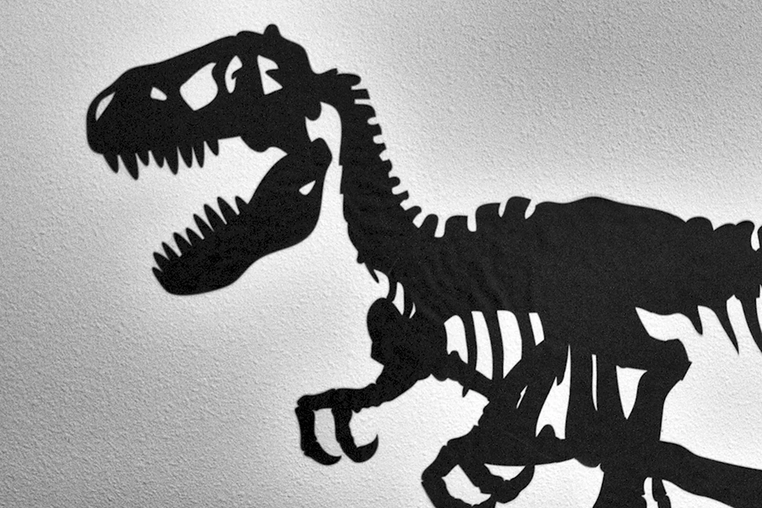Тень динозавра