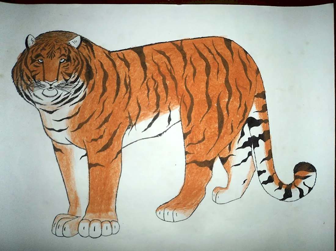 Тигр как разукрасить