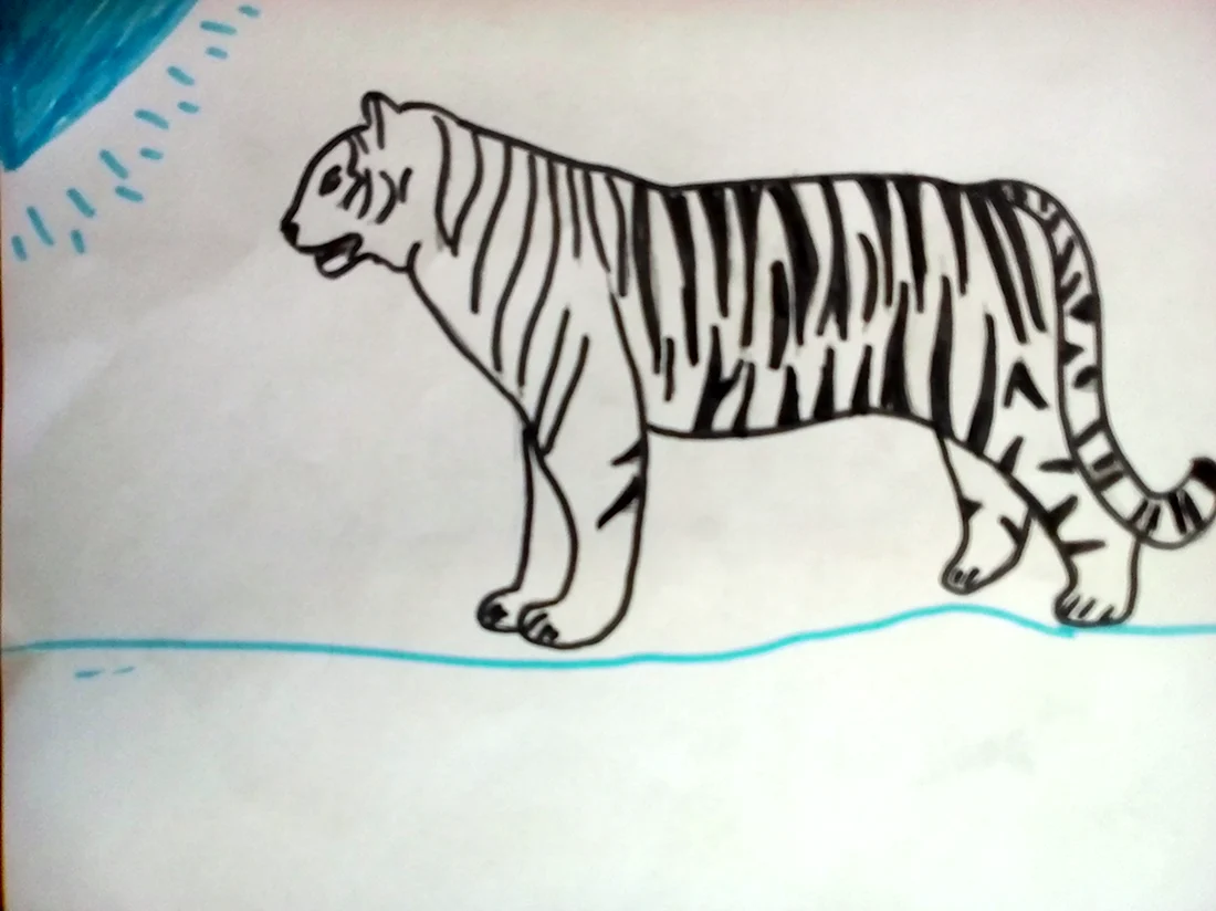 Тигр картинка для детей раскраска