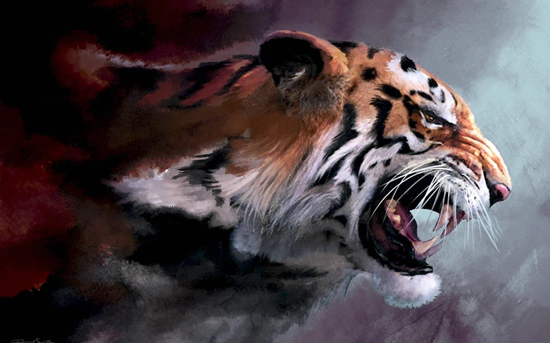 Тигр в ярости
