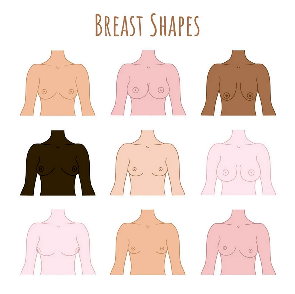 Типы груди