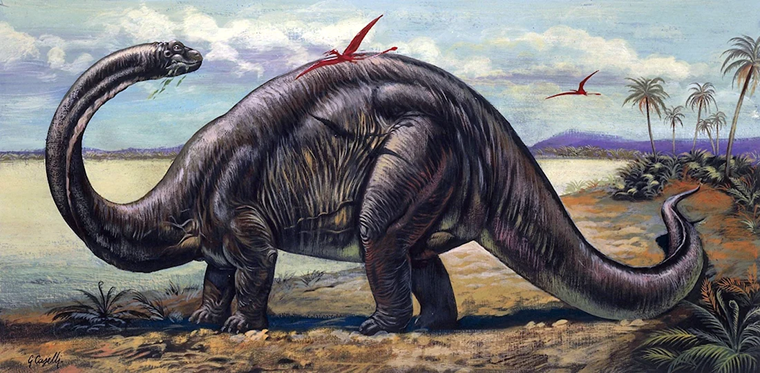 Травоядные динозавры Бронтозавр