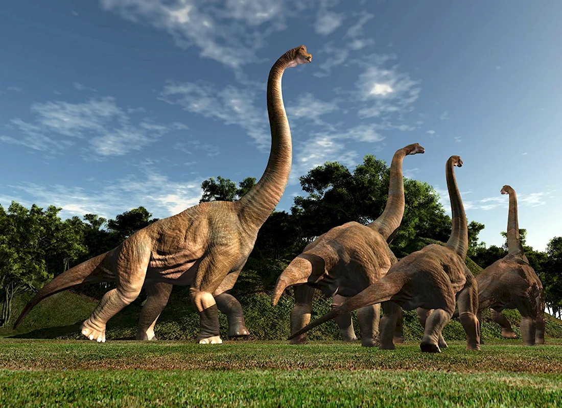Травоядные динозавры Бронтозавр