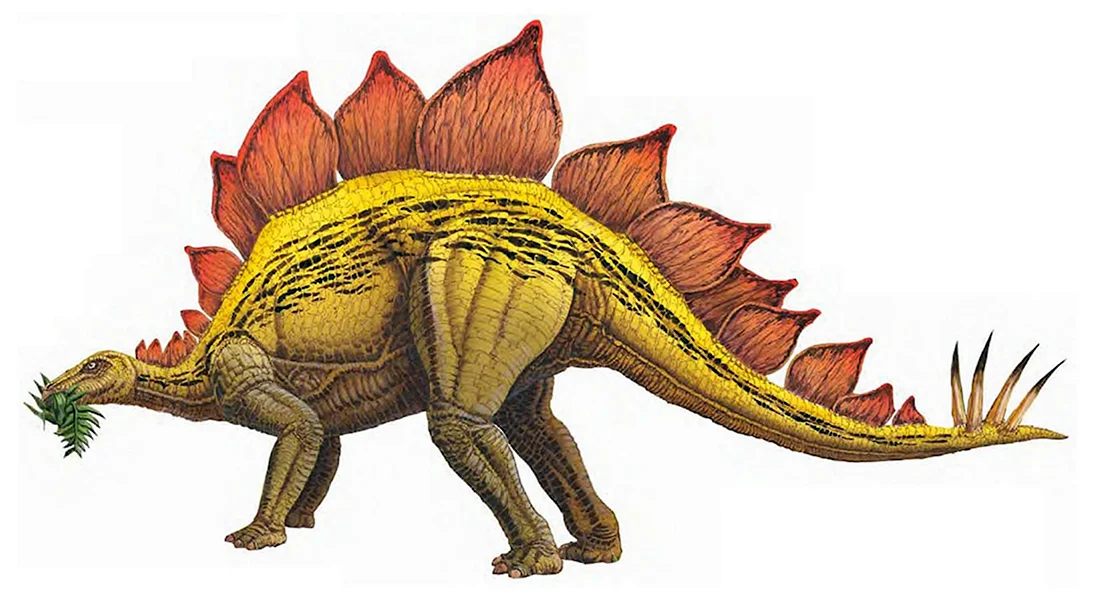 Травоядные динозавры Стегозавр