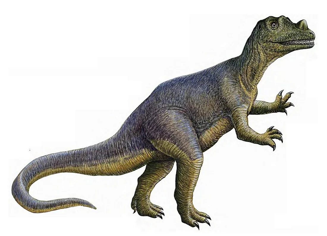 Цератозавр динозавр