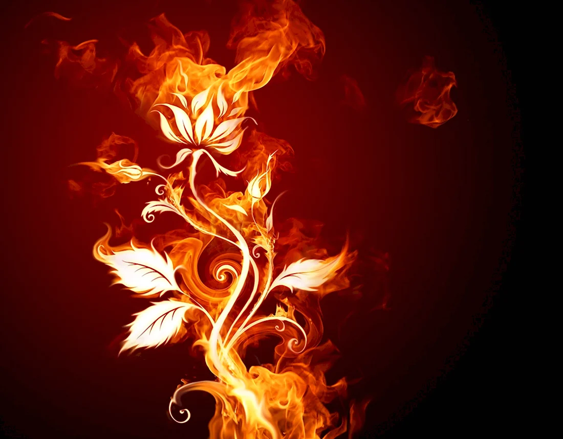 Цветок в огне