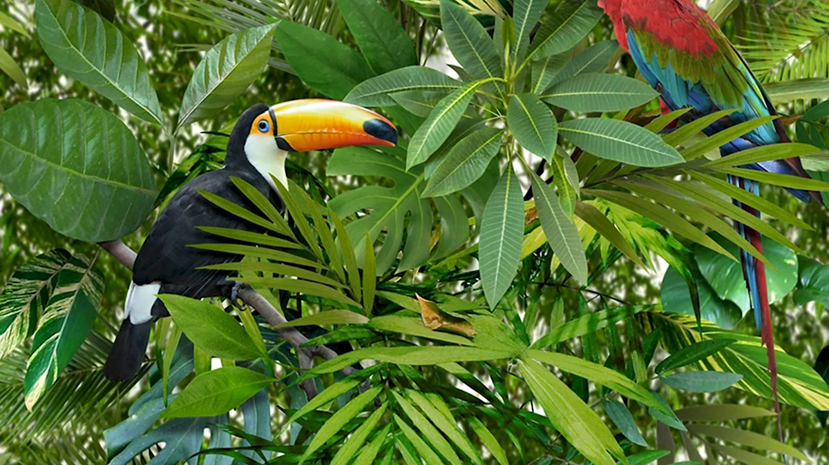 Тукан в тропических листьях