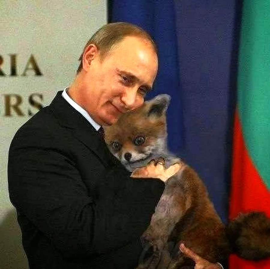 Упоротый Лис и Путин