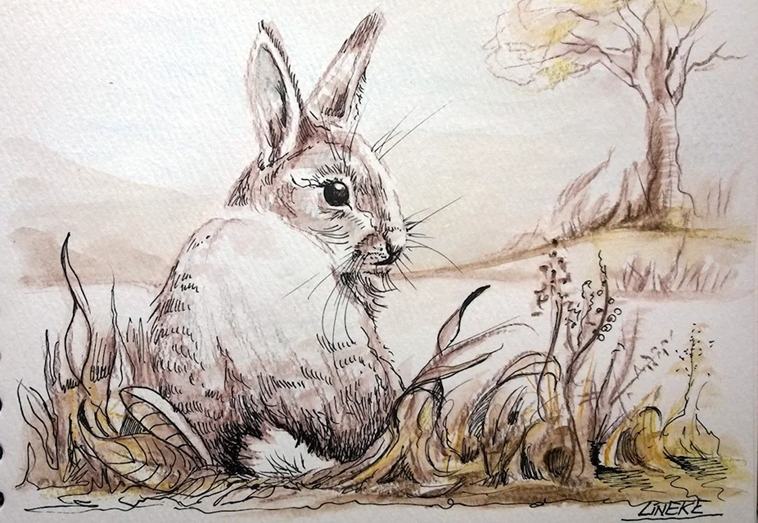 Утопия рисунок кролик