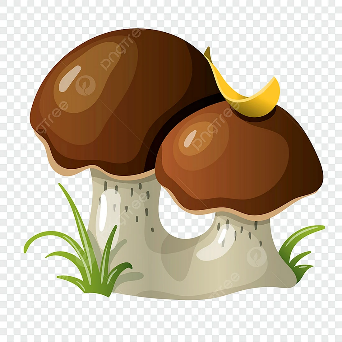 Векторные грибы