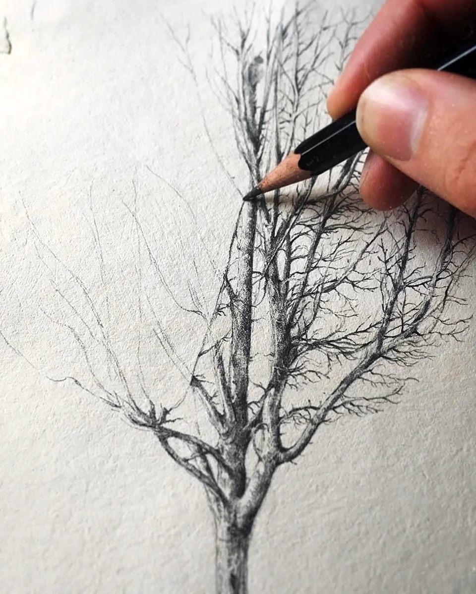 Веточка дерева для рисования