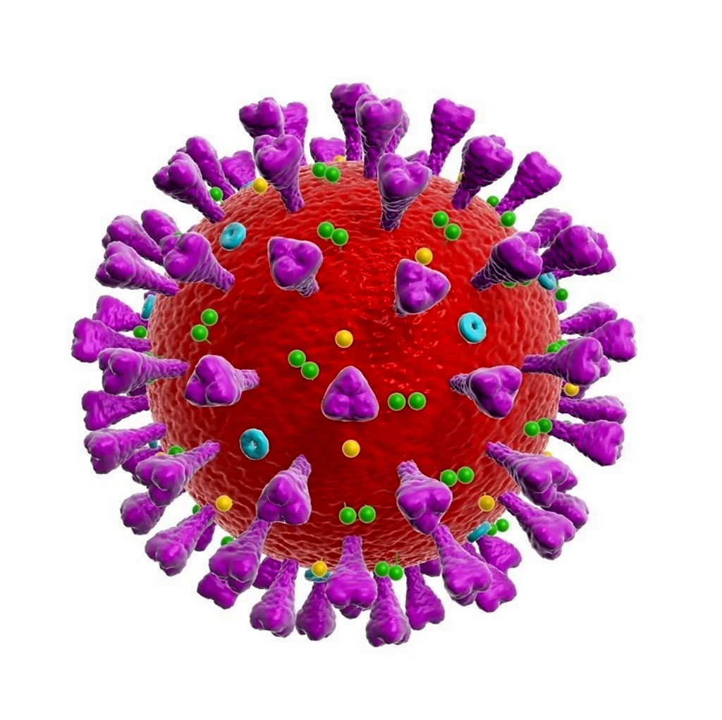 Вирус коронавирус коронавирус