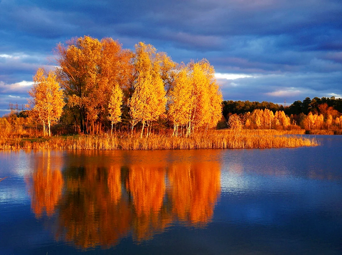 Волга река Самара осень