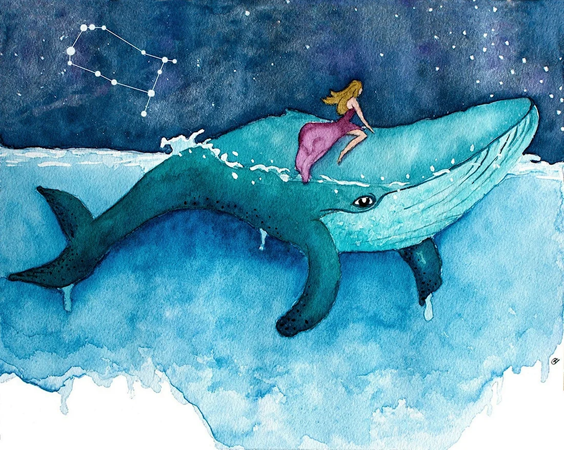 Волшебный кит