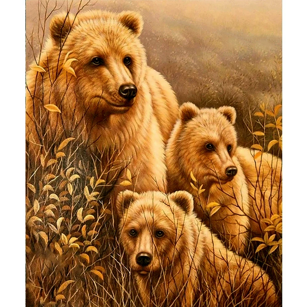Вышивка медведь