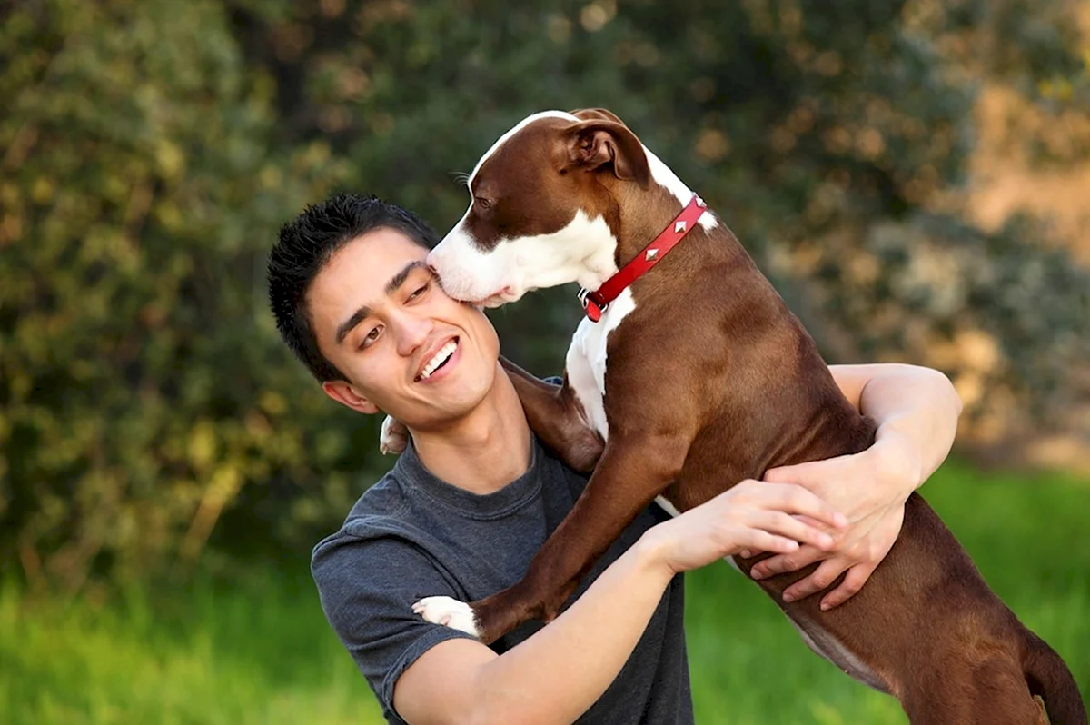 Взаимоотношения собаки и человека