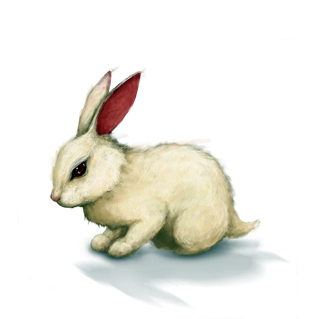 Заяц на белом фоне