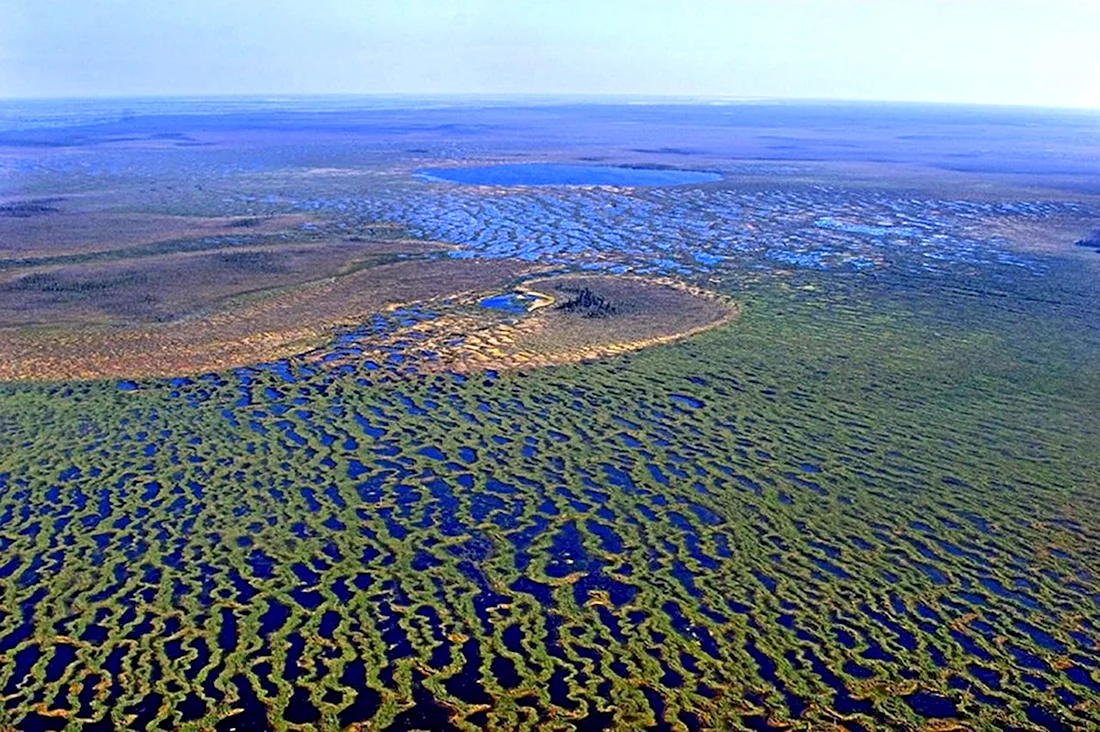 Западно Сибирская равнина Васюганское болото