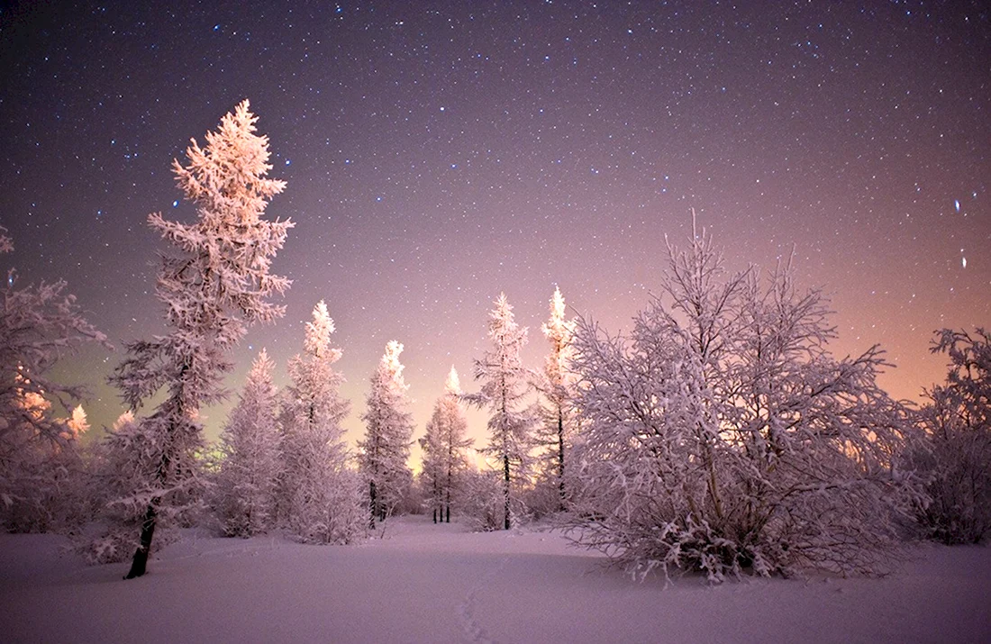 Зимняя Тайга ночью