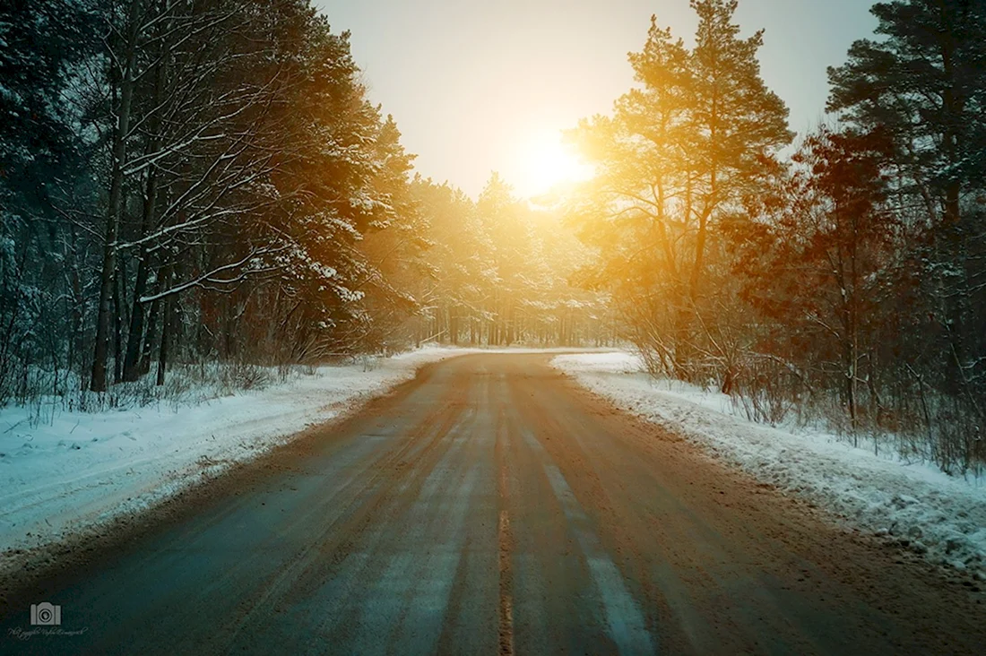 Зимний лес дорога солнце