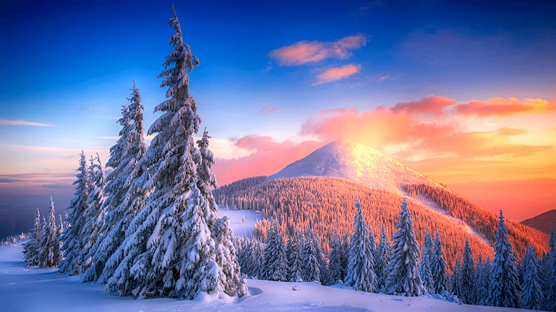 Зимний пейзаж Карпаты