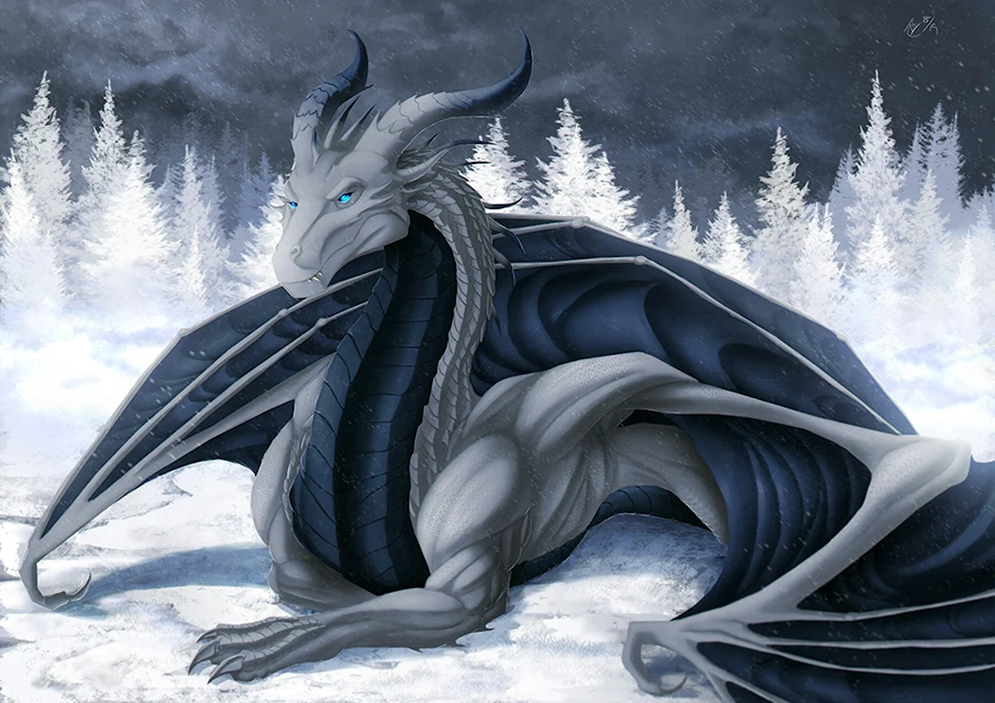 Зирнитра дракон