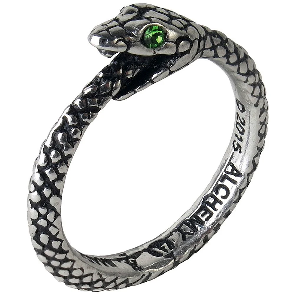 Змеиное кольцо Уроборос