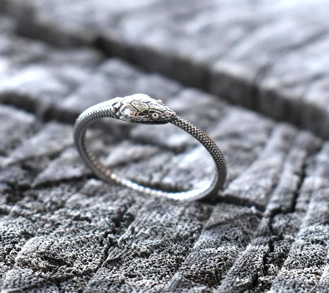 Змеиное кольцо Уроборос