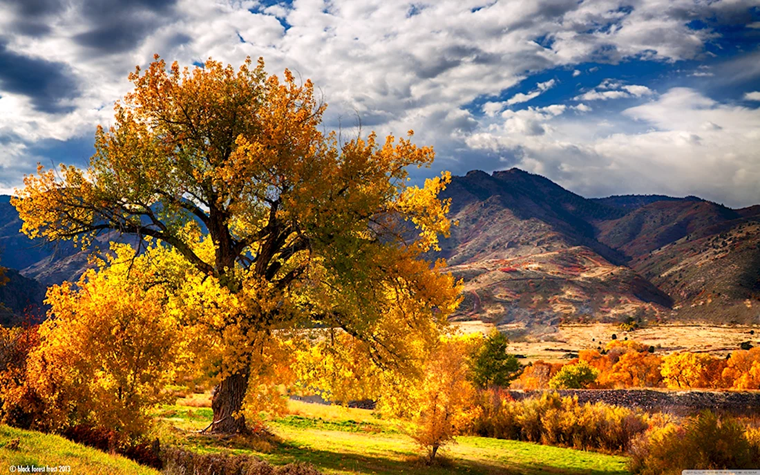 Золотая осень в горах Туркменистана