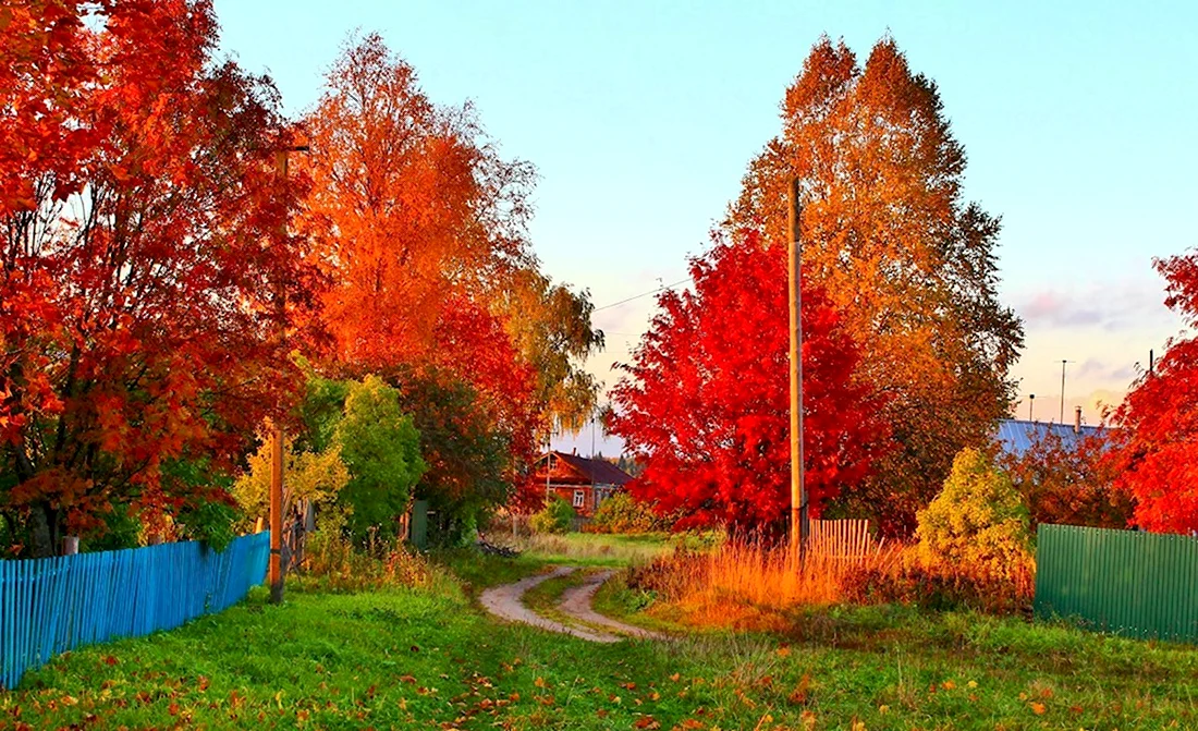 Золотая осень Вологодская деревня