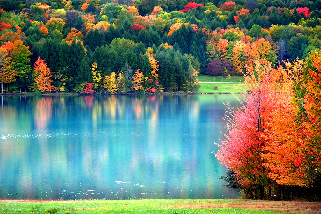 Золотое озеро Пенсильвания