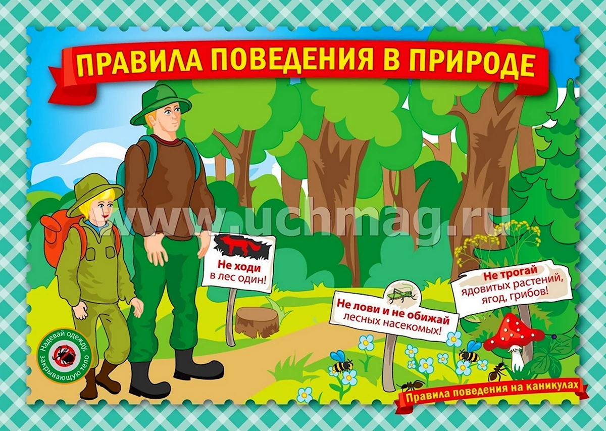 Безопасность в лесу для детей