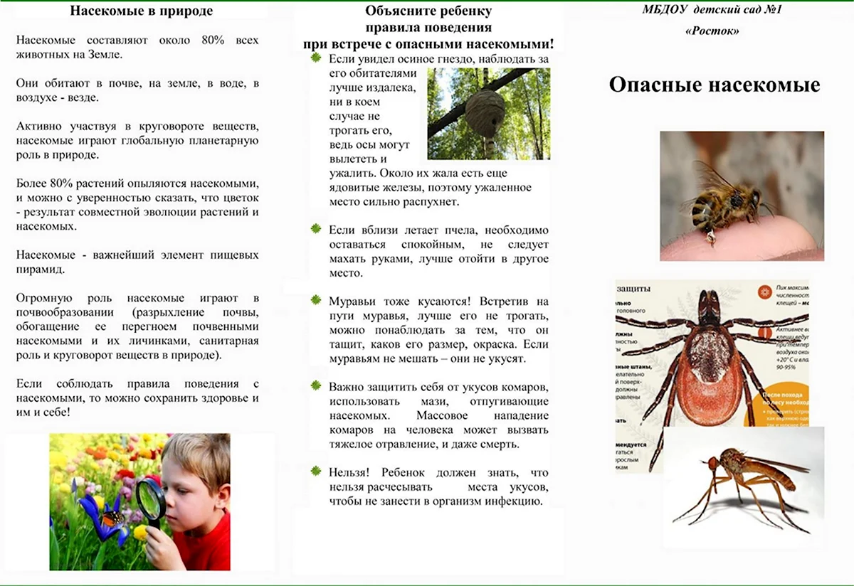 Буклет для родителей укусы насекомых
