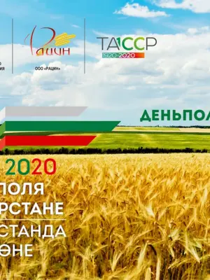 День Татарстана 2020