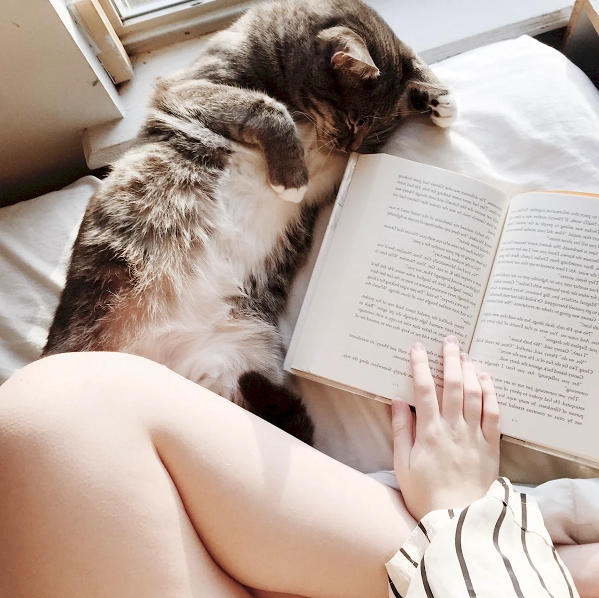Девушка в постели с книжкой