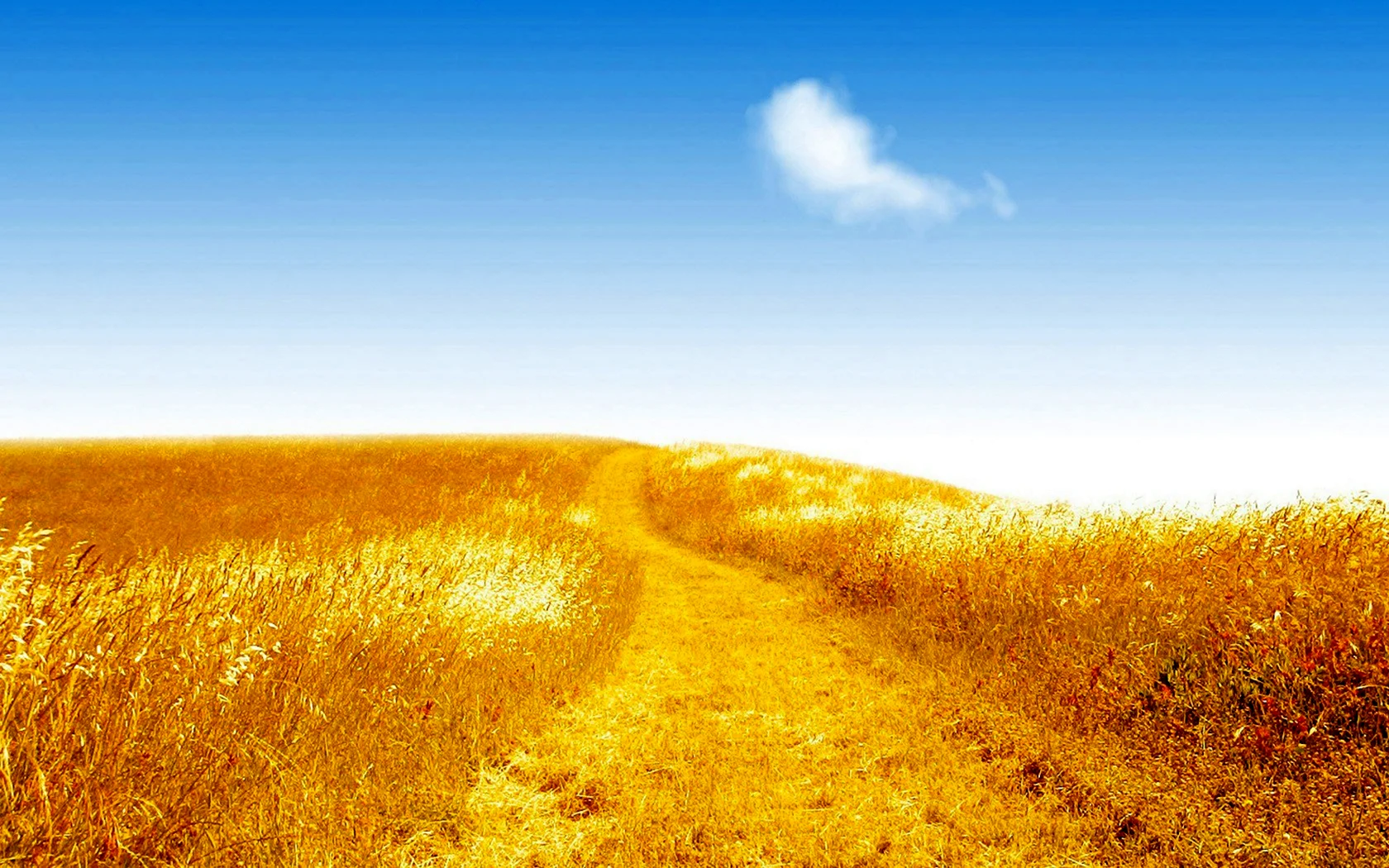 Дорога через пшеничное поле