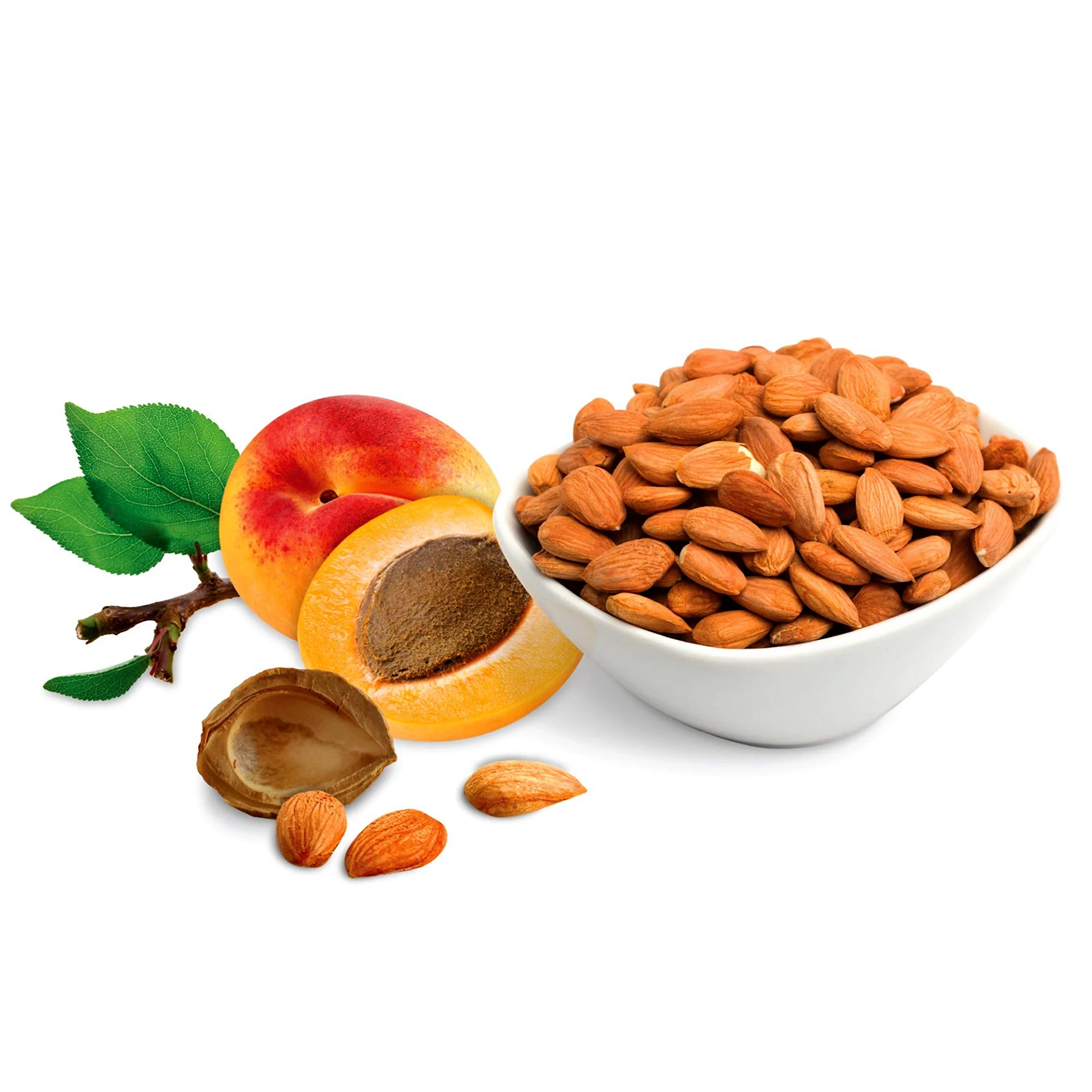 Dried Apricot Kernel