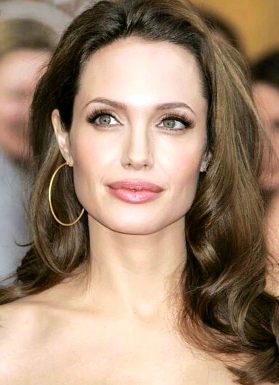 Джоли 2008